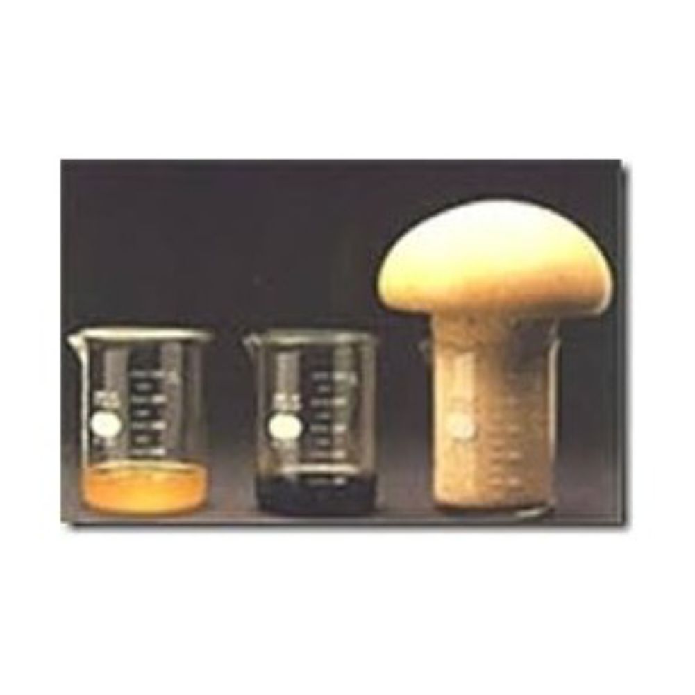 POLIFOAM-A+B-2,0 kg-Espuma Expansível-1:1